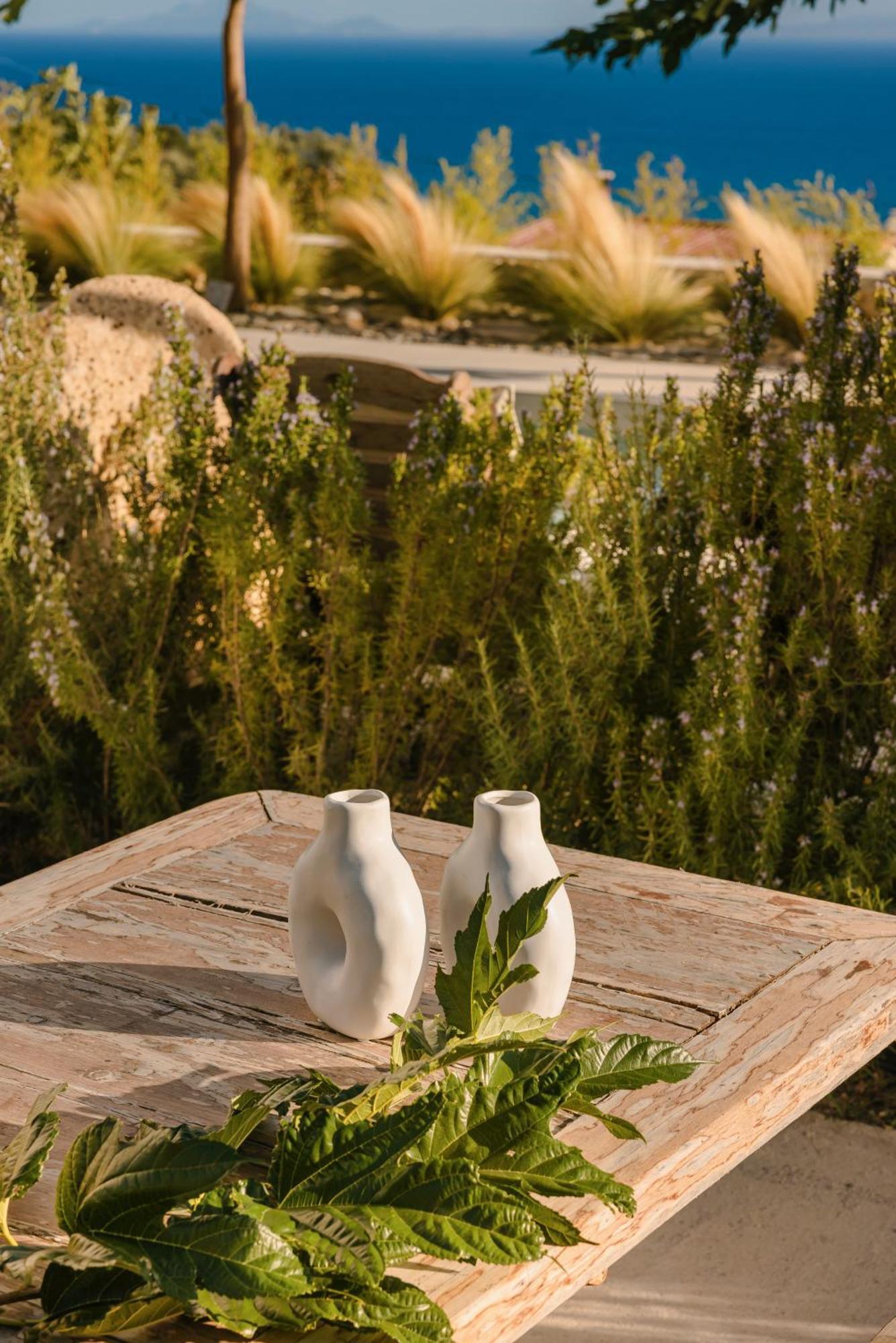 Spathes Suites Kefalonia - Luxury Suites Ratzaklíon Zewnętrze zdjęcie