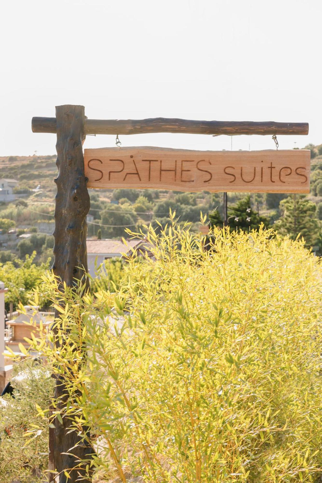 Spathes Suites Kefalonia - Luxury Suites Ratzaklíon Zewnętrze zdjęcie